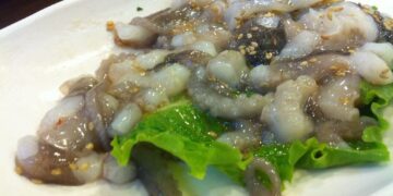 Is Octopus Healthy? The Pros and Cons of this Controversial Dish